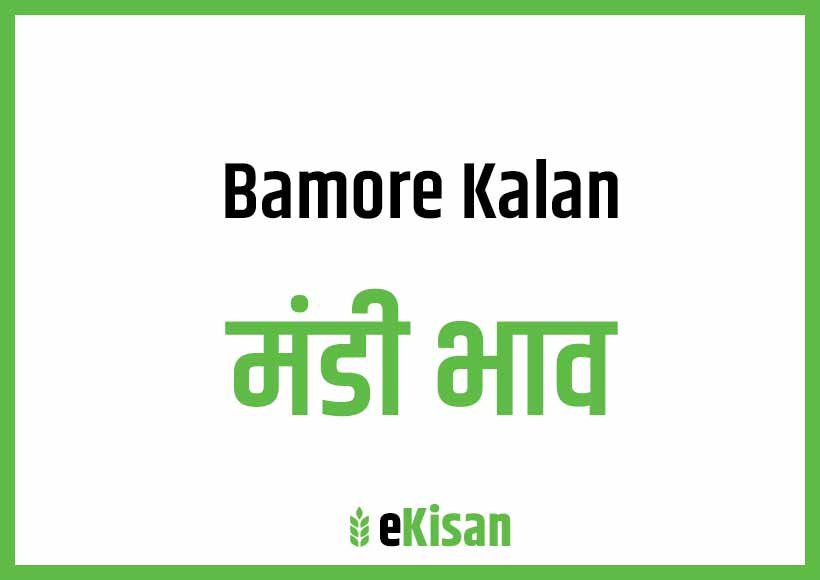 Banmore Kalan Mandi Bhav