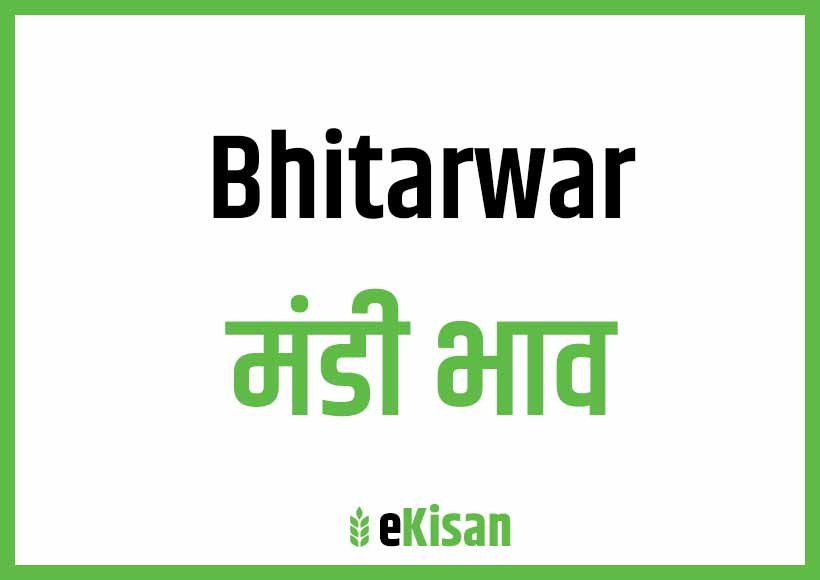 Bhitarwar Mandi Bhav