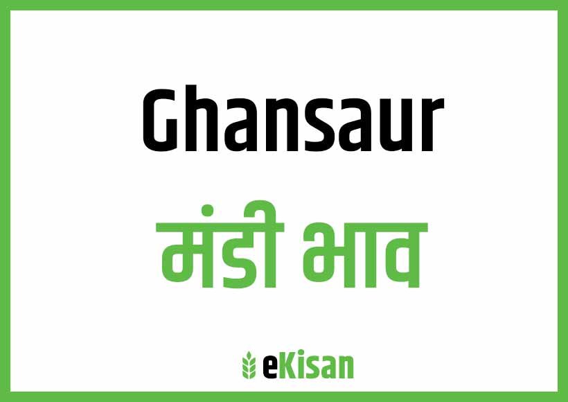 Ghansaur Mandi Bhav