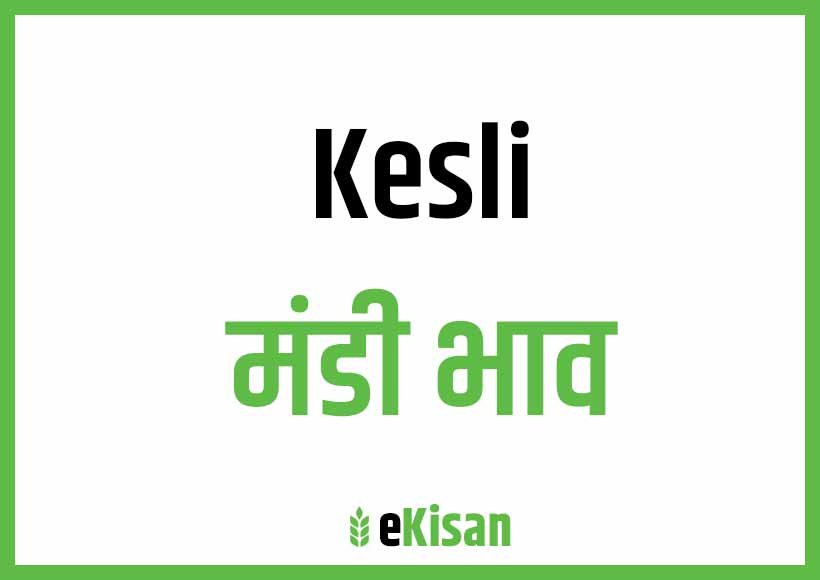 Kesli Mandi Bhav