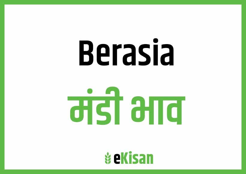 Berasia Mandi Bhav