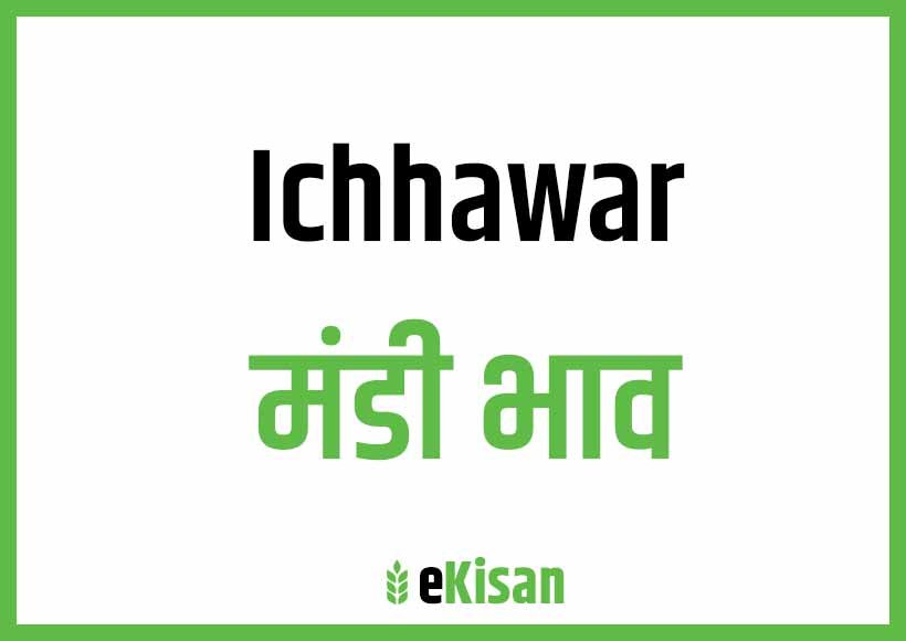 Ichhawar Mandi Bhav