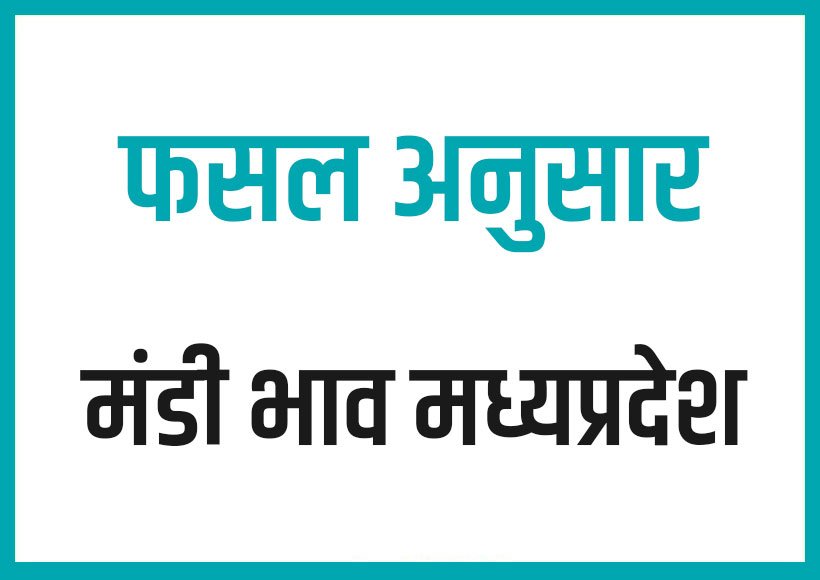 fasal anusar mandi bhav madhya pradesh