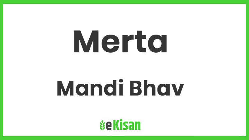 merta mandi bhav